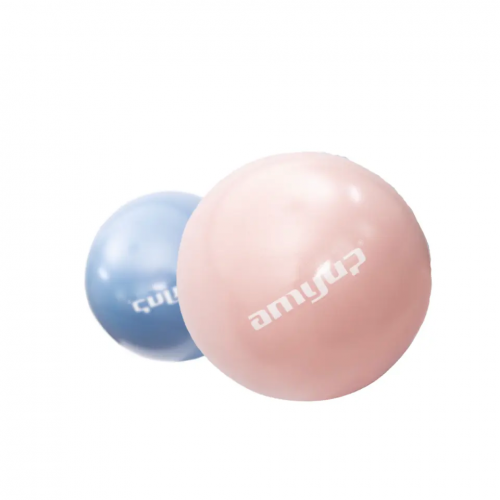 Exercise Gym Fitness  Equipment Yoga Ball 25cm Pilates Ball