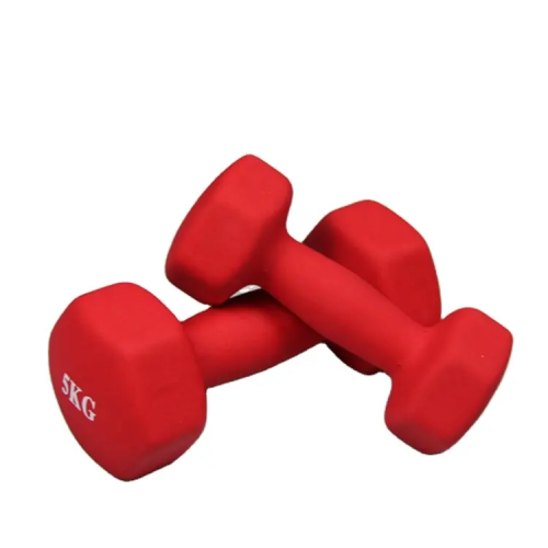 Home Fitness cast iron Rubber adjustable Hex Dumbbell Sets for Women