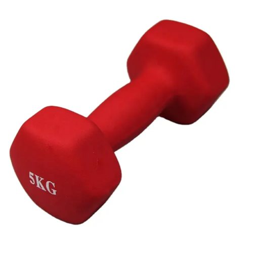 Home Fitness cast iron Rubber adjustable Hex Dumbbell Sets for Women