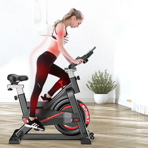 gym equipment Flywheel Silent indoor cycling fitness Spinning Bike