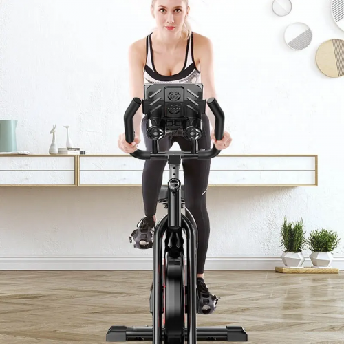 gym equipment Flywheel Silent indoor cycling fitness Spinning Bike