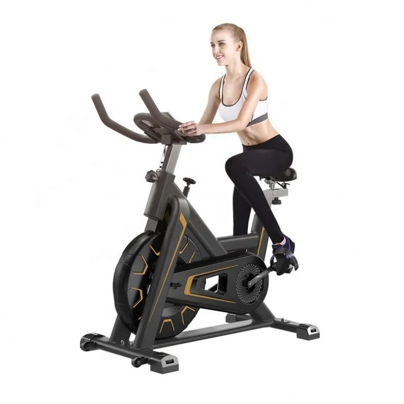 2020 Flywheel Silent Magnetic Control Body Building fitness Indoor cycling Spinning Bike 